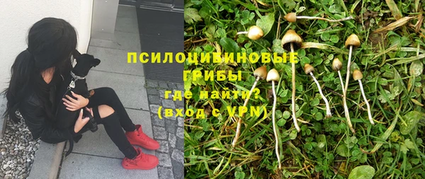 ECSTASY Надым
