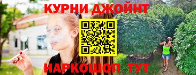 прущие грибы Гагарин