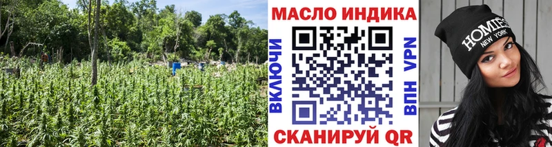 купить  сайты  Лысьва  ТГК Wax 