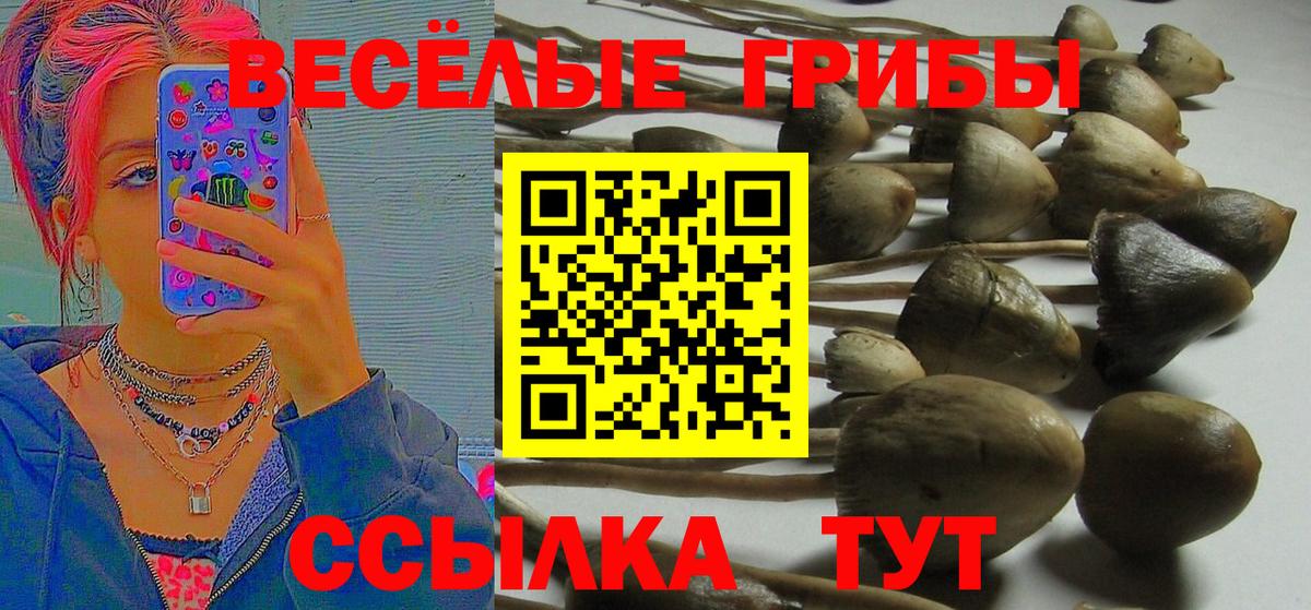 Лысьва  Псилоцибиновые грибы Psilocybine cubensis  закладки  Псилоцибиновые грибы ЛСД  Вход с VPN 