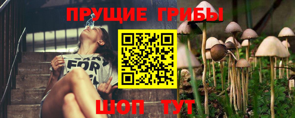 Псилоцибиновые грибы Magic Shrooms Лысьва